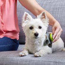 Load image into Gallery viewer, PetWell Therapeutic Massager